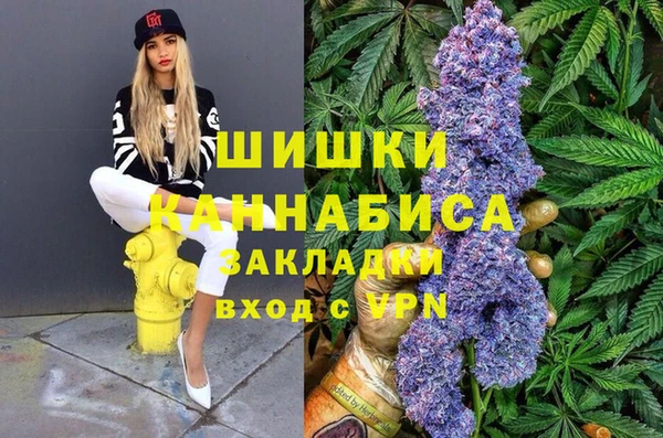 тгк Осташков