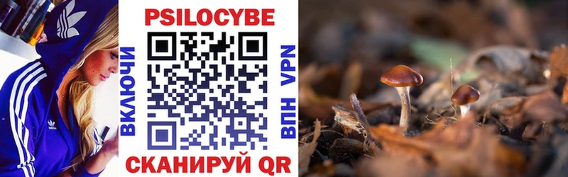 где можно купить наркотик  Лихославль  Псилоцибиновые грибы Psilocybe 